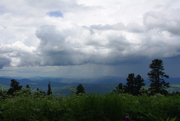 IMGP0208.JPG